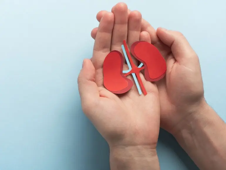 especialistas en hemodialisis